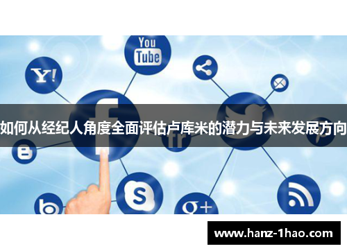 如何从经纪人角度全面评估卢库米的潜力与未来发展方向