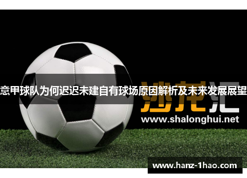 意甲球队为何迟迟未建自有球场原因解析及未来发展展望