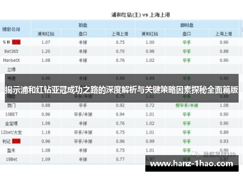 揭示浦和红钻亚冠成功之路的深度解析与关键策略因素探秘全面篇版