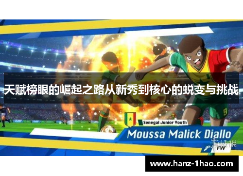 天赋榜眼的崛起之路从新秀到核心的蜕变与挑战